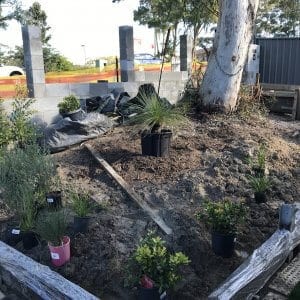 designer Newcastle Granny Flat